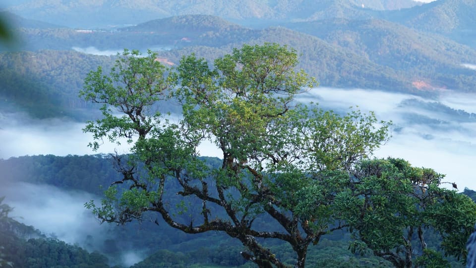 Dalat Trekking to Langbiang mt - Small Trade-Offs: What You’ll Want to Plan Around