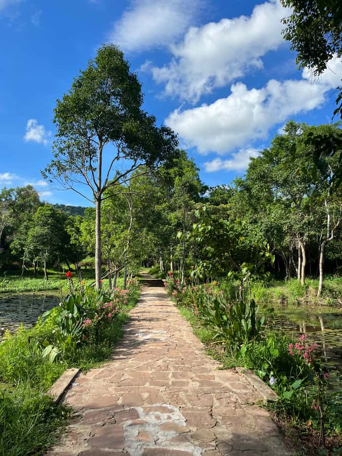 Early My Son tour/transfer to avoid crowd and the heat - The Temple Walk: How to Get More From Every Stop