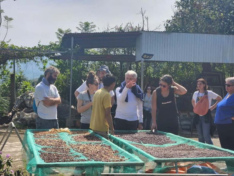 Experience specialty coffee with sustainable coffee farmers - Brewing lessons: tasting light, medium, and dark roast