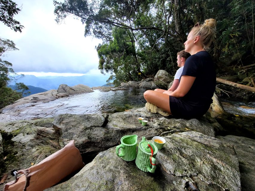 From Da Nang or Hoi An: Bach Ma National Park Trek & Lunch - What You Really Get for $71: Value That Comes From Timing + Inclusions