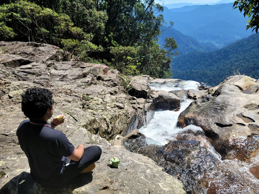 From Da Nang or Hoi An: Bach Ma National Park Trek & Lunch - Vong Hai Dai / Bach Ma Peak (Hai Vong Dai): Where the Coast Opens Up