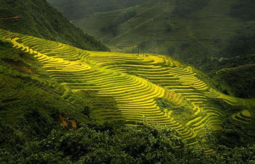 From Hanoi: 1-day Sapa Trekking Tour With Overnight Bus - Key highlights worth your attention