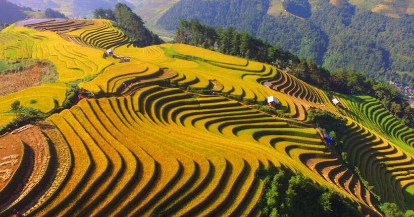 From Hanoi: 1-day Sapa Trekking Tour With Overnight Bus - Back to Hanoi by sleeper bus: what the evening actually feels like