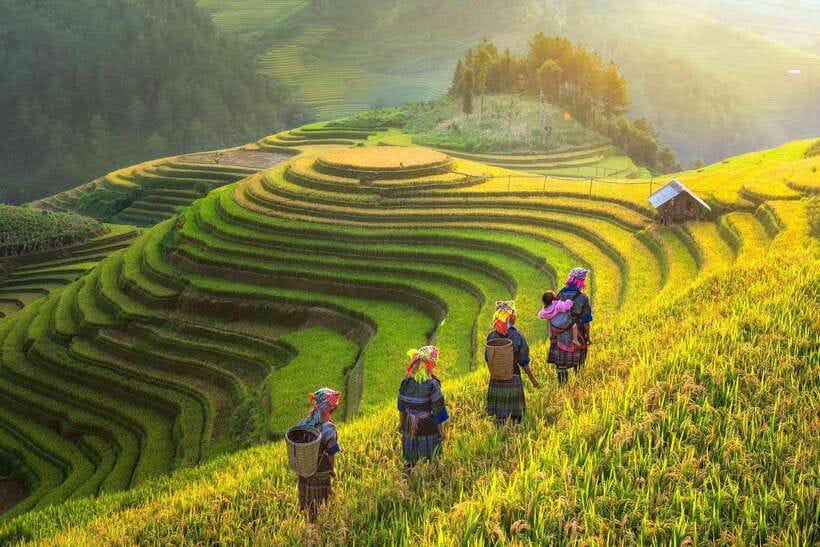 From Hanoi: 1-day Sapa Trekking Tour With Overnight Bus - Who should book this trek, and who should skip it