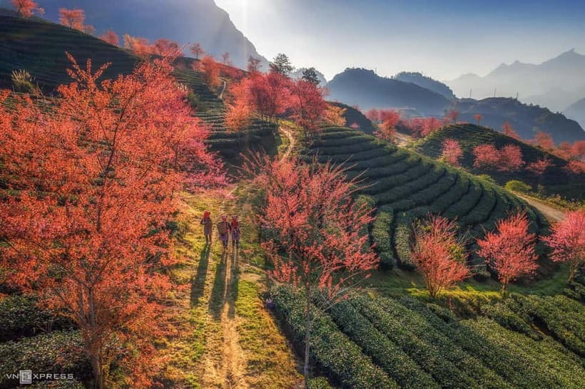 From Hanoi: 2-Day Luxury Sapa Trekking Tour with Homestay - Day 1: Y Linh Ho to Lao Chai, Then Ta Van for Cooking and Rest