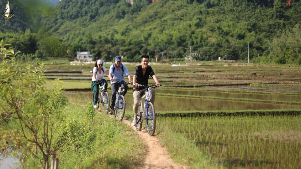 From Hanoi: 2-Day Ninh Binh Tour with Ha Long Bay Cruise - Food, drinks, and onboard perks that actually help