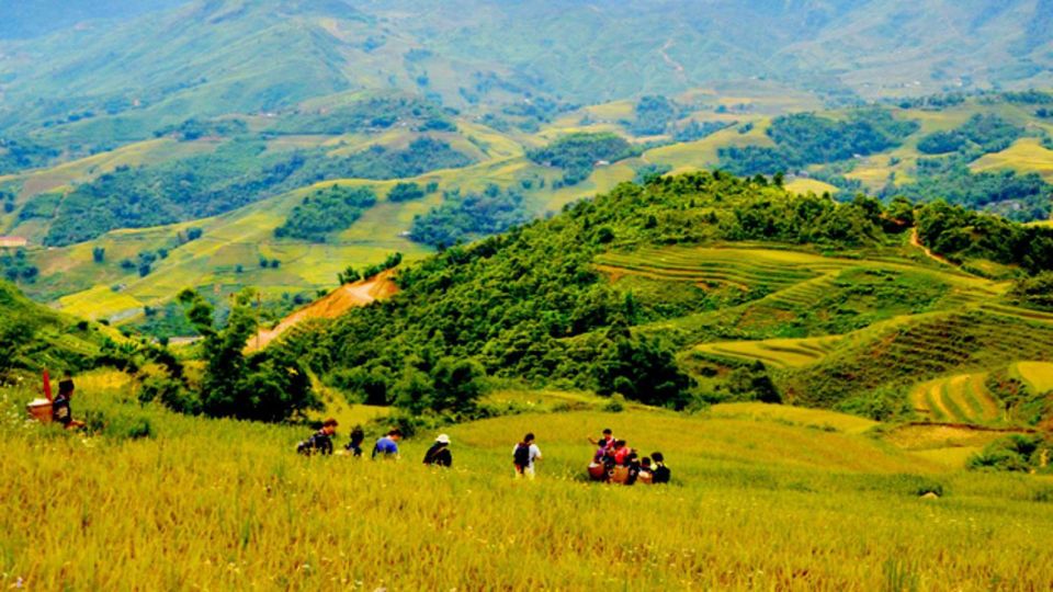 From Hanoi: 2-Day Overnight Sapa Tour by Limousine - Food, hotel comfort, and the best timing for real village life