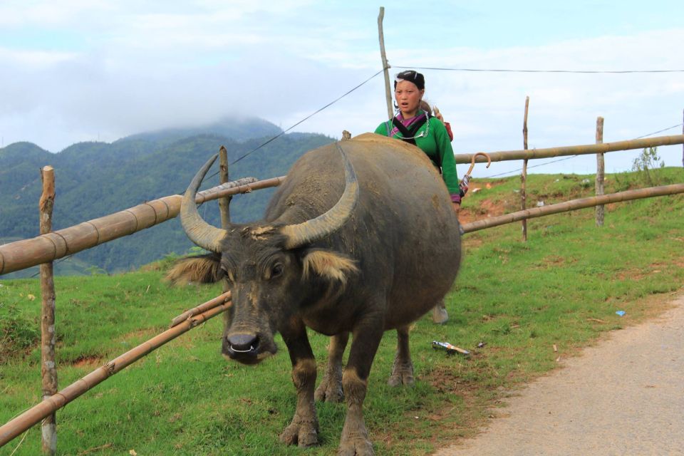 From Hanoi: 2-Day Sapa Cultural Exchange Tour with Homestay - Ta Van homestay: what “basic” really means on a Dzay family stay