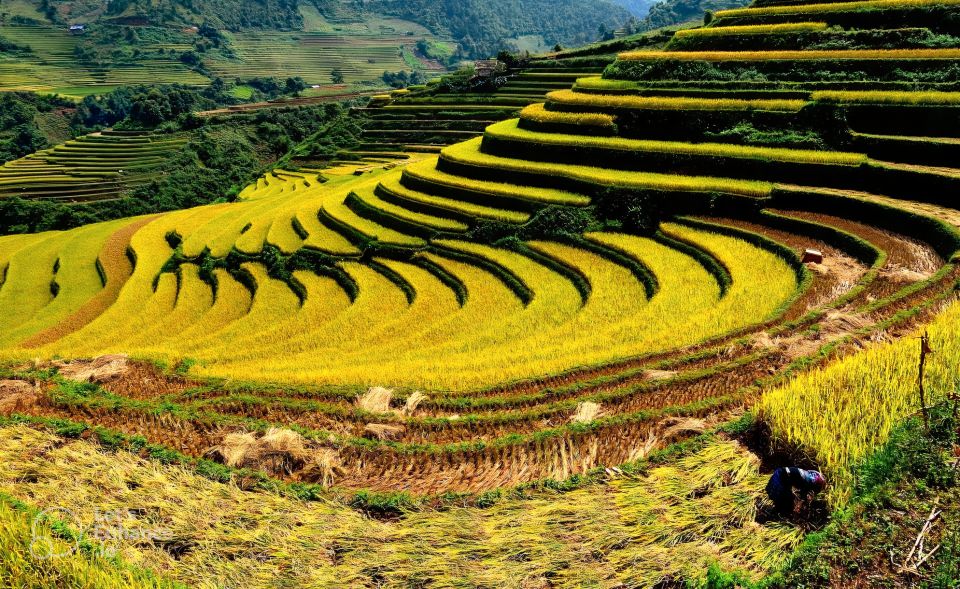 From Hanoi: 2-Day Sapa-Fansipan Peak & Trek & Ha Giang Bus - Limousine bus vs night train: which travel style fits you?