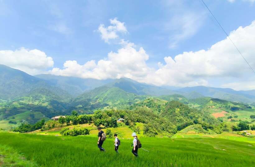 From Hanoi: 2-Day Sapa Trek Tour - Luxury Limousine Transfer - Guides make or break it: how English, local ties, and village stories work