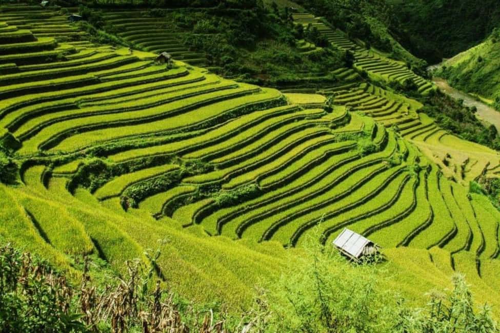 From Hanoi: 2-Days Sapa Trekking Tour Lao Chai and Cat Cat - From Hanoi to Sapa: what the trip feels like in real life