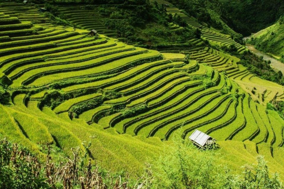 From Hanoi: 2-Days Sapa Trekking Tour Lao Chai and Cat Cat - The Day 2 plan: rice terraces to Lao Chai, then Dzay life at Ta Van