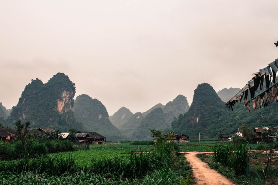 From Hanoi: 3-Day Ba Be Lake & Ban Gioc Falls Private Tour - The guiding factor: language, pace, and those included meals