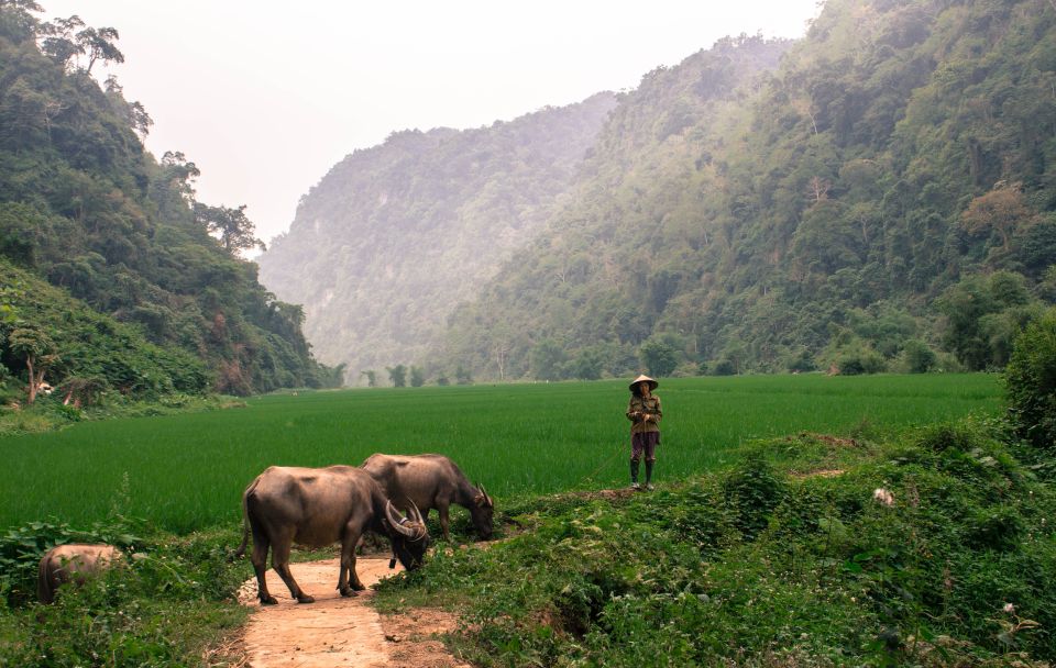 From Hanoi: 3-Day Ba Be Lake & Ban Gioc Falls Private Tour - Comfort and logistics you can plan for