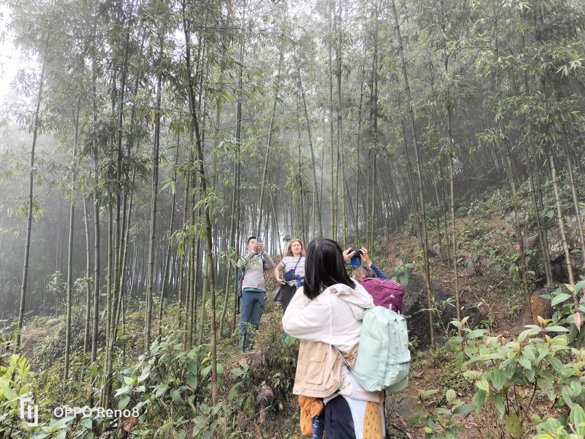 From Hanoi: Guided 2-Day Tour of Sa Pa with Lunch & Dinner - Who this trek is best for