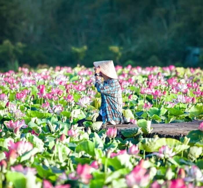 From Hanoi: Ninh Binh Bai Dinh or Hoa Lu, Trang An, Mua Cave - Should you book this Ninh Binh day trip?
