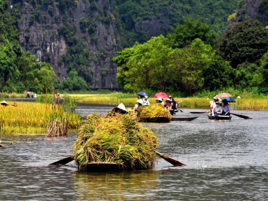 From Hanoi: Ninh Binh & Cuc Phuong National Park 2-Day Tour - Cuc Phuong’s primates and the feeling of an older forest