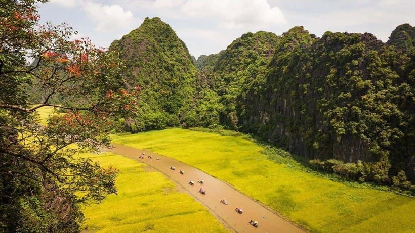 From Hanoi: Ninh Binh- Hoa Lu-Tam Coc- Mua Cave- Highlight - Key highlights to know before you go