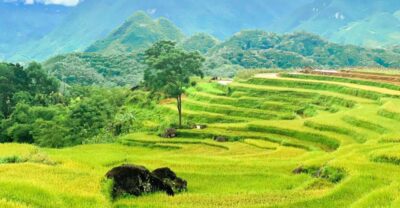 From Hanoi to Pu Luong: 2-Day Trip in Ethnic Villages - Pu Luong Arrival: Lunch, Check-In, and Time to Unwind
