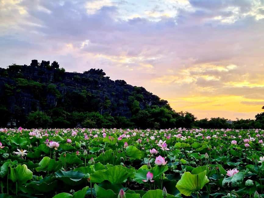 From Hanoi: Trang An eco-tourism - Hoa Lu ancient & Mua Cave - Heat, walking choices, and pacing the one-day schedule