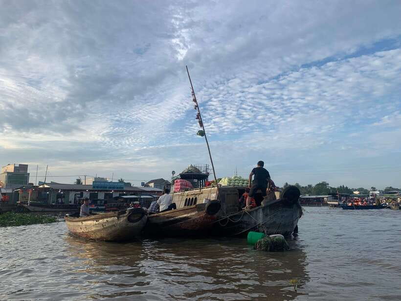 From HCM 1-day Cai Rang floating market local mekong village - Snakehead fish dance and the floating raft village