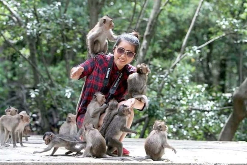 From Ho Chi Minh: Can Gio Monkey Island & Mangrove Tour - Crocodile sanctuary and the optional fishing experience