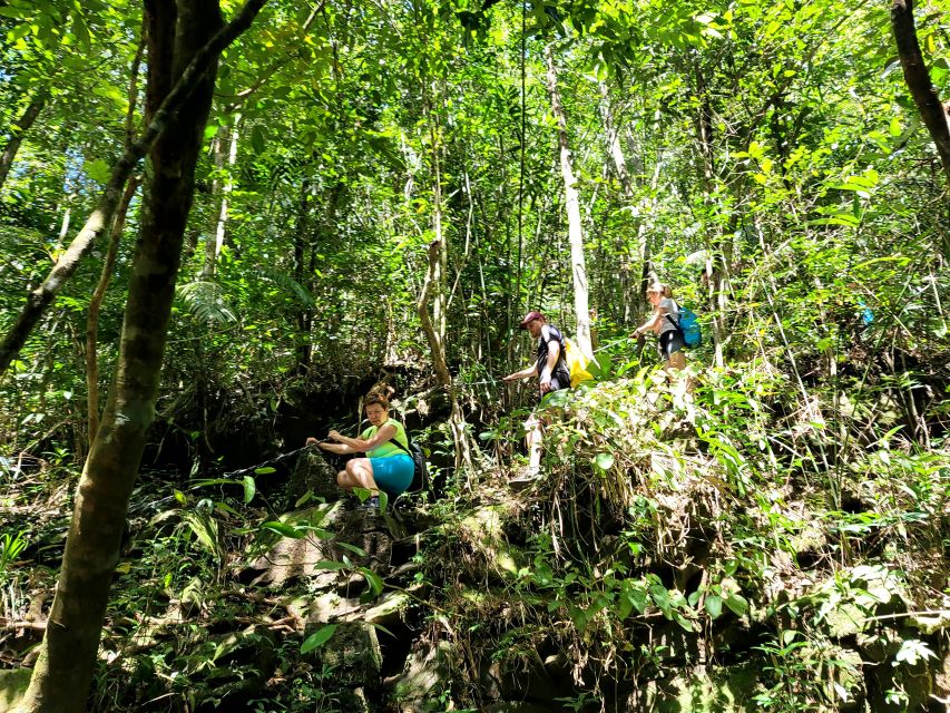 From Hue: Bach Ma National Park Hiking Day Trip with Pickup - Do Quyen Waterfall: the 300m drop that demands sure footing