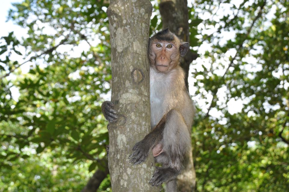 HCM:Can Gio Mangrove Forest Tour-Monkey Island - What you do on the way back: market browsing, if open